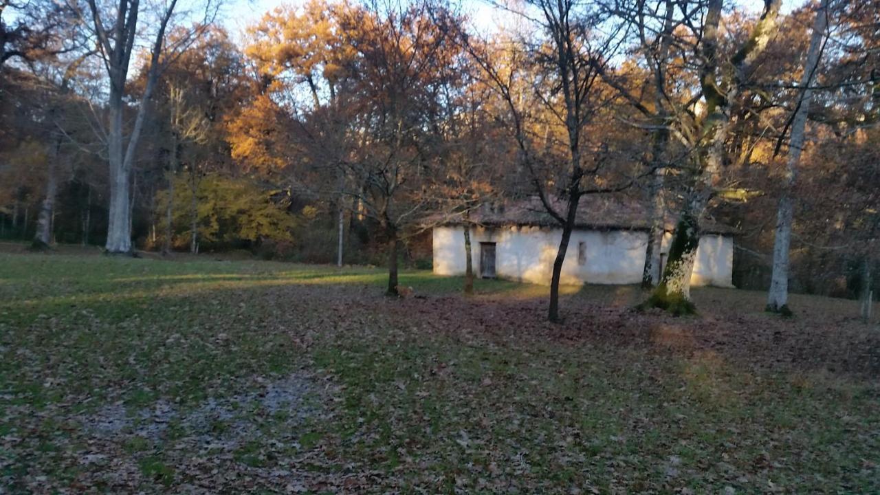 Errotazar Apartamento Rural I Alsasua Exterior foto